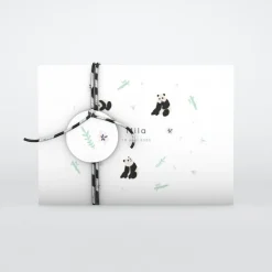 Faire-part Naissance Animaux^Planet cards Jolis Pandas