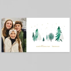 Carte De Vœux Nature^Planet cards La Forêt Hivernale Photo