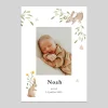 Faire-part Naissance Animaux | Faire-part Naissance Fille^Planet cards Lapin des champs