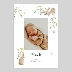 Faire-part Naissance Animaux | Faire-part Naissance Fille^Planet cards Lapin des champs
