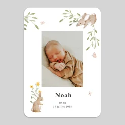 Faire-part Naissance Animaux | Faire-part Naissance Fille^Planet cards Lapin des champs
