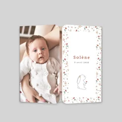 Faire-part Naissance Animaux^Planet cards Lapin et Cadre Liberty