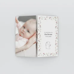 Faire-part Naissance Animaux | Faire-part Naissance Fille^Planet cards Lapin et Couronne Liberty