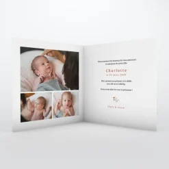 Faire-part Naissance Animaux | Faire-part Naissance Fille^Planet cards Lapin et Couronne Liberty
