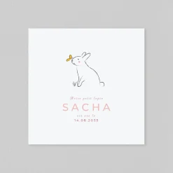 Faire-part Naissance Animaux | Faire-part Naissance Fille^Planet cards Lapin et petit papillon