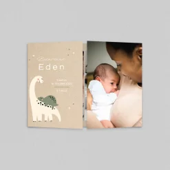 Faire-part Naissance Animaux | Faire-part Naissance Garçon^Planet cards Maman et Bébé Dino