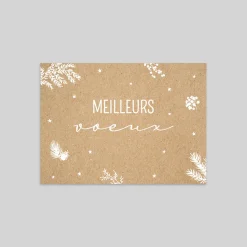 Carte De Vœux Nature | Carte De Vœux Photo^Planet cards Meilleurs Voeux Kraft