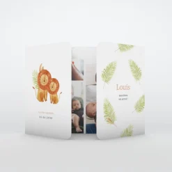 Faire-part Naissance Animaux | Faire-part Naissance Garçon^Planet cards Nos Petits Lions et Savane