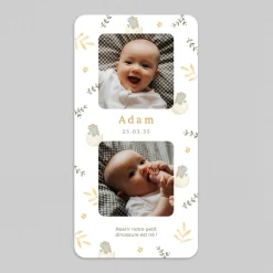 Faire-part Naissance Garçon | Faire-part Naissance Animaux^Planet cards Oeuf et Dinosaure