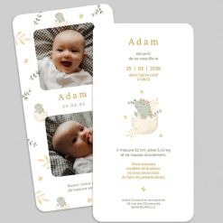 Faire-part Naissance Garçon | Faire-part Naissance Animaux^Planet cards Oeuf et Dinosaure