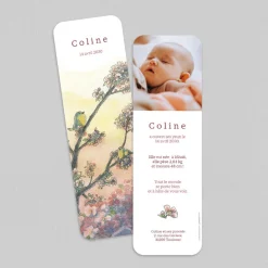 Faire-part Naissance Animaux | Faire-part Naissance Marque-page^Planet cards Oiseaux sur Branche
