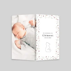Faire-part Naissance Animaux | Faire-part Naissance Fille^Planet cards Ours et Cadre Liberty