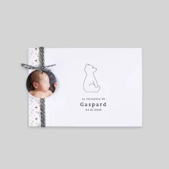 Faire-part Naissance Animaux | Faire-part Naissance Fille^Planet cards Ours et Couronne Liberty