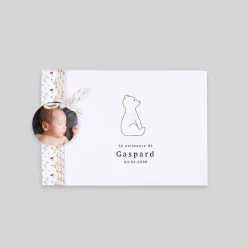 Faire-part Naissance Animaux | Faire-part Naissance Fille^Planet cards Ours et Couronne Liberty