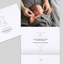 Faire-part Naissance Animaux | Faire-part Naissance Fille^Planet cards Ours et Couronne Liberty
