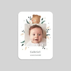 Faire-part Naissance Animaux | Faire-part Naissance Fille^Planet cards Ourson
