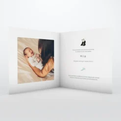 Faire-part Naissance Animaux^Planet cards Panda Nature