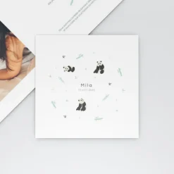Faire-part Naissance Animaux^Planet cards Panda Nature