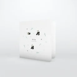 Faire-part Naissance Animaux^Planet cards Panda Nature