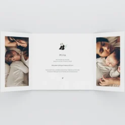 Faire-part Naissance Animaux^Planet cards Panda Nature
