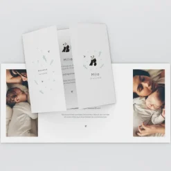 Faire-part Naissance Animaux^Planet cards Panda Nature