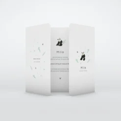 Faire-part Naissance Animaux^Planet cards Panda Nature