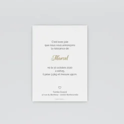 Faire-part Naissance Garçon^Planet cards Petit coeur chou