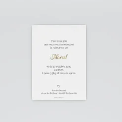 Faire-part Naissance Garçon^Planet cards Petit coeur chou