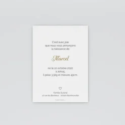 Faire-part Naissance Garçon^Planet cards Petit coeur chou