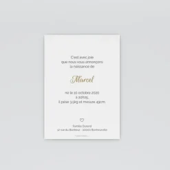 Faire-part Naissance Garçon^Planet cards Petit coeur chou