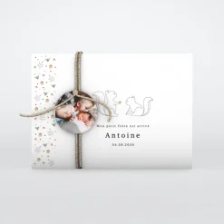 Faire-part Naissance Animaux | Faire-part Naissance Fille^Planet cards Petit Écureuil et Liberty