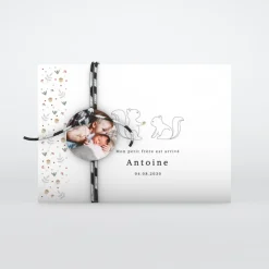Faire-part Naissance Animaux | Faire-part Naissance Fille^Planet cards Petit Écureuil et Liberty