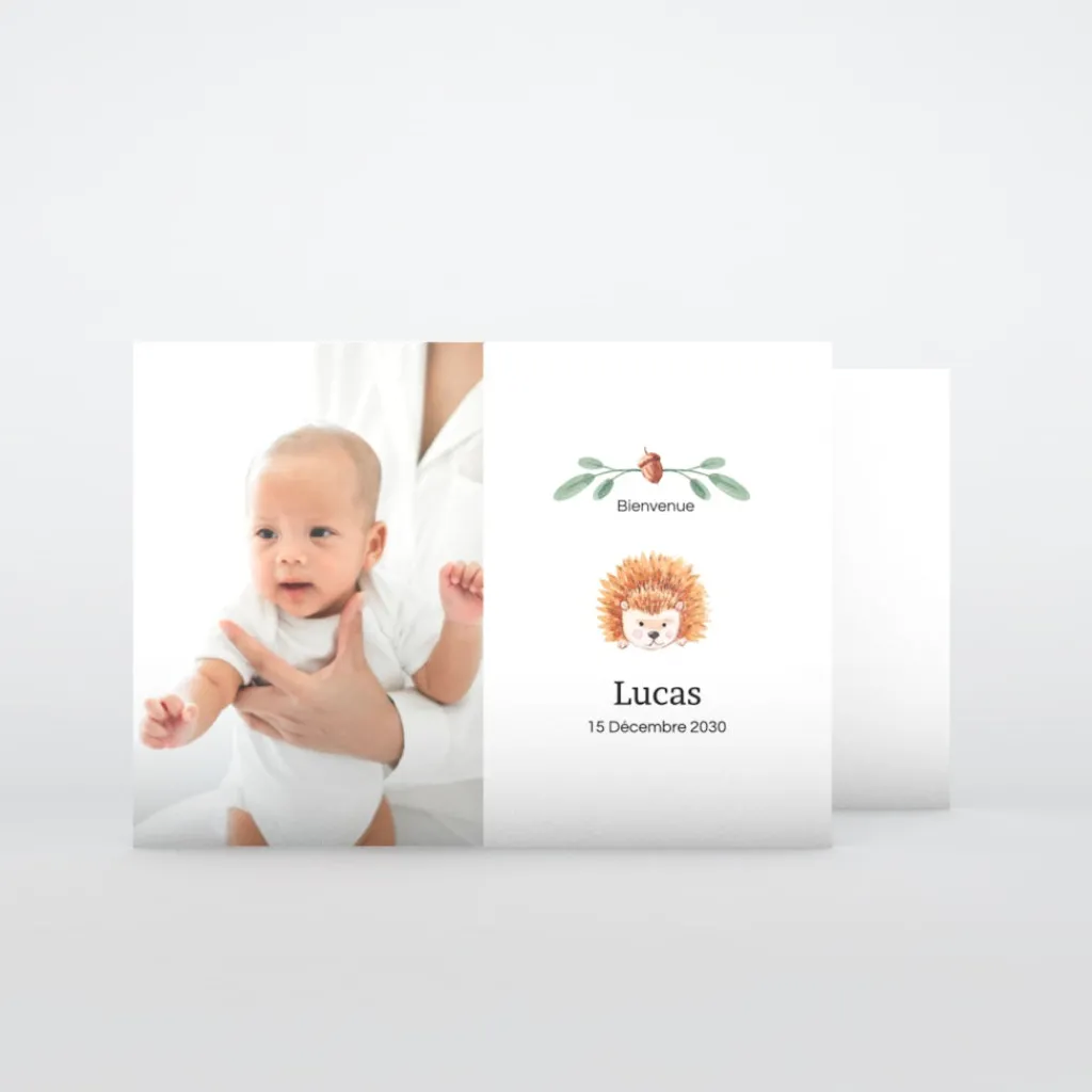 Faire-part Naissance Animaux | Faire-part Naissance Garçon^Planet cards Petit Hérisson d'automne