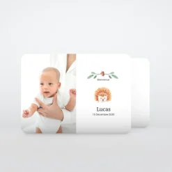 Faire-part Naissance Animaux | Faire-part Naissance Garçon^Planet cards Petit Hérisson d'automne