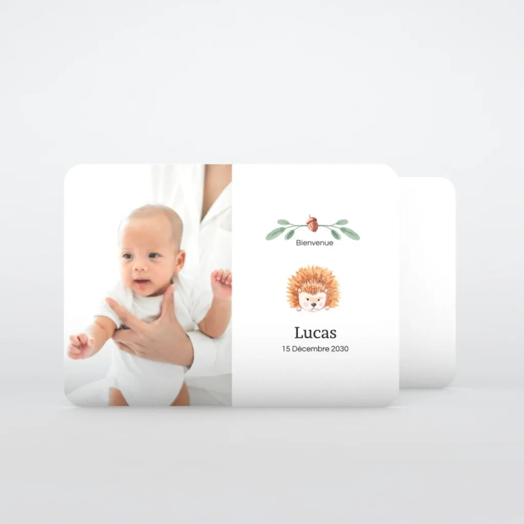 Faire-part Naissance Animaux | Faire-part Naissance Garçon^Planet cards Petit Hérisson d'automne
