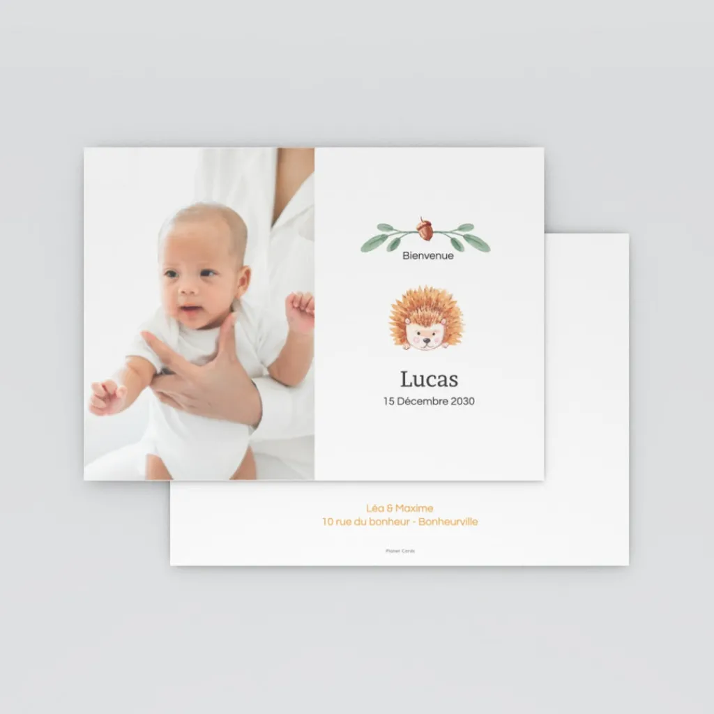 Faire-part Naissance Animaux | Faire-part Naissance Garçon^Planet cards Petit Hérisson d'automne