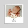 Faire-part Naissance Animaux | Faire-part Naissance Fille^Planet cards Petit Lapin