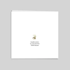 Faire-part Naissance Animaux | Faire-part Naissance Fille^Planet cards Petit Lapin