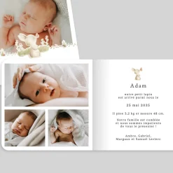 Faire-part Naissance Animaux | Faire-part Naissance Fille^Planet cards Petit Lapin