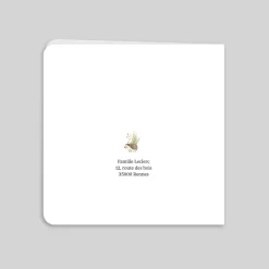 Faire-part Naissance Animaux | Faire-part Naissance Fille^Planet cards Petit Lapin