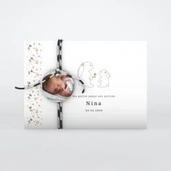 Faire-part Naissance Animaux^Planet cards Petit Lapin et Liberty