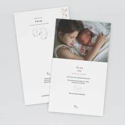 Faire-part Naissance Animaux^Planet cards Petit Lapin et Liberty