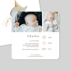 Faire-part Naissance Animaux | Faire-part Naissance Fille^Planet cards Petit éléphant au cirque