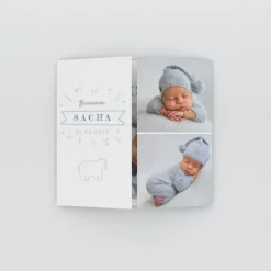 Faire-part Naissance Animaux | Faire-part Naissance Fille^Planet cards Petit Ours