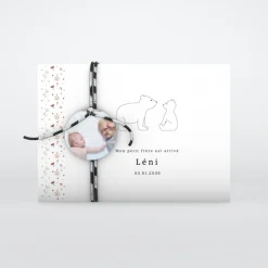 Faire-part Naissance Animaux^Planet cards Petit Ours et Liberty