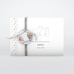 Faire-part Naissance Animaux^Planet cards Petit Ours et Liberty