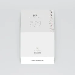 Faire-part Naissance Animaux^Planet cards Petit Ours et Liberty