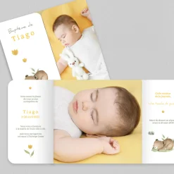 Faire-part Baptême Civil^Planet cards Petit Ourson Endormi