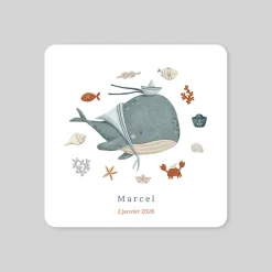 Faire-part Naissance Animaux | Faire-part Naissance Fille^Planet cards Petite Baleine