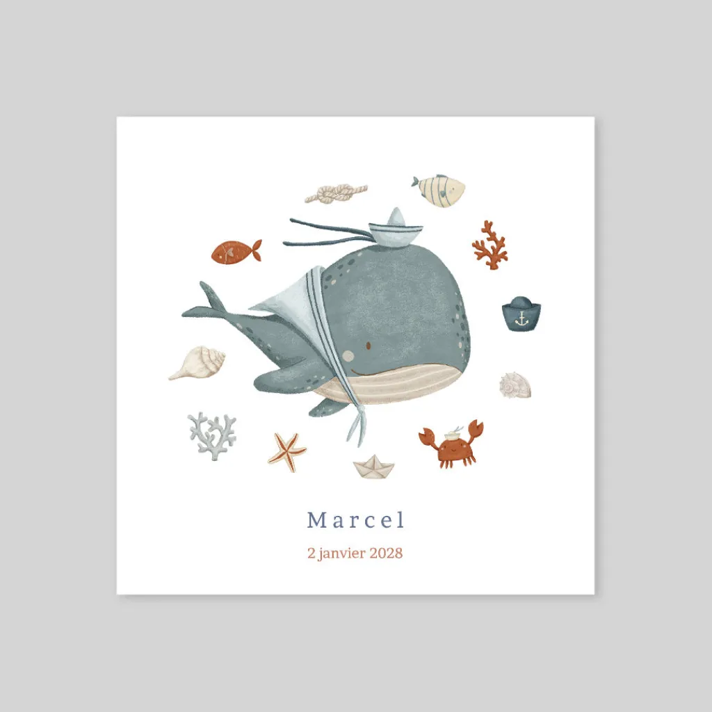 Faire-part Naissance Animaux | Faire-part Naissance Fille^Planet cards Petite Baleine